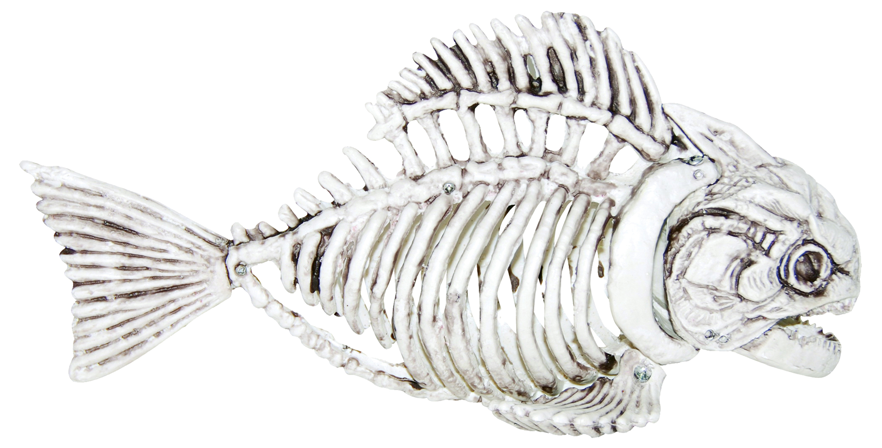 Fish Skeleton Decoration