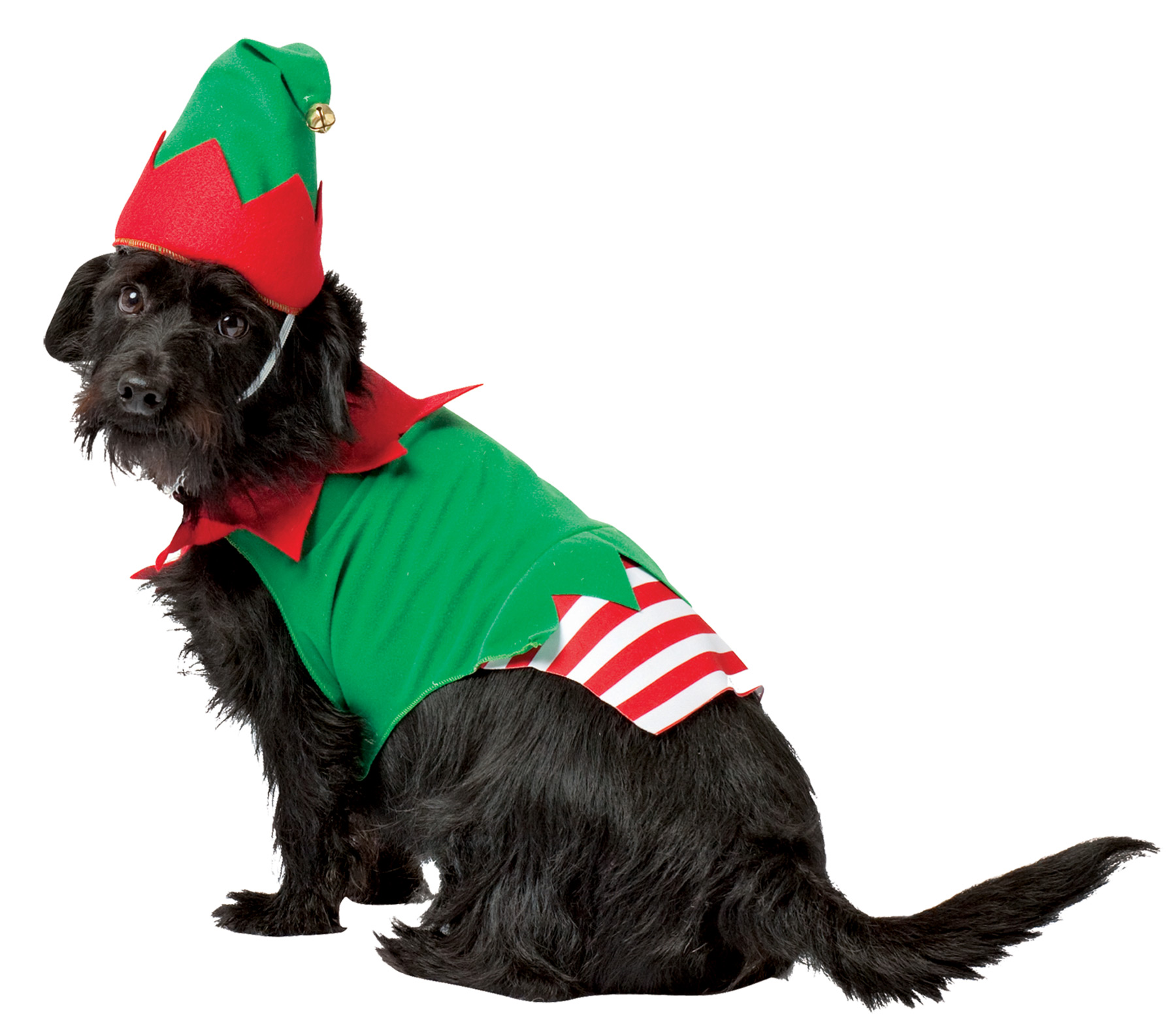 Elf Dog Costume XxLarge