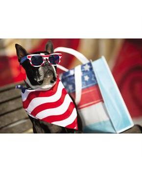 20" Patriotic Stars & Stripes Bandanas - 12 Pc.