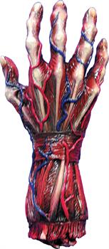 Skinned Right Hand Decoration Prop