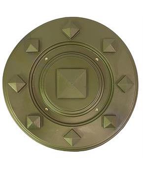 Roman Shield