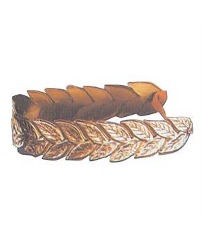 Laurel Wreath Crown