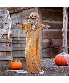 Standing Pop Up Head Pumpkin Man Halloween Decoration 5 1/2 Ft.