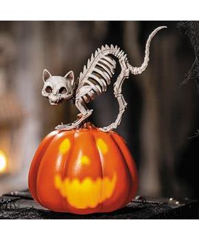 11 1/2" Animated Pumpkin with Skeleton Cat Tabletop Halloween Decoration