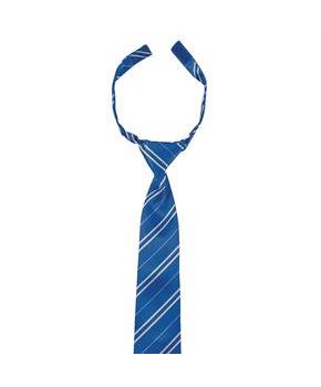 Kids Harry Potter Ravenclaw Breakaway Tie Costume Accessory