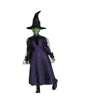 Kids Adaptive Wicked Elphaba Dress Costume