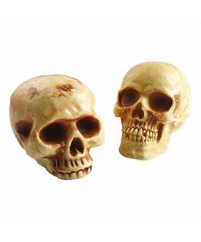 8\ Brown Plastic Skull Halloween Decoration