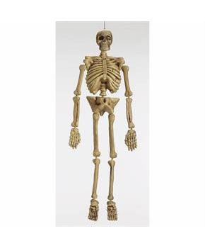 5 Ft. Realistic Skeleton Halloween Decoration