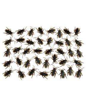 COCKROACHES 40PCS