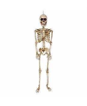 36" Posable Articulated Skeleton Halloween Decoration