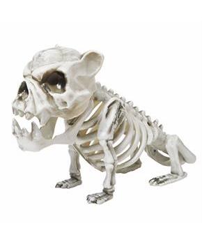 13\ Plastic Skele-Bulldog Halloween Decoration