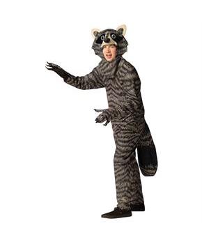 Adults Raccoon Costume