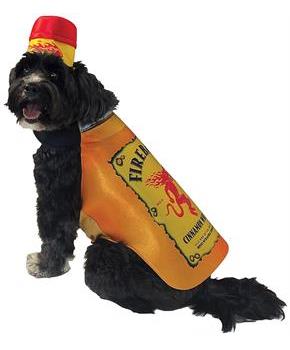 Fireball Bottle Dog Costume