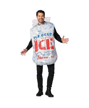 Adult's Packaged Ice Bag Costume