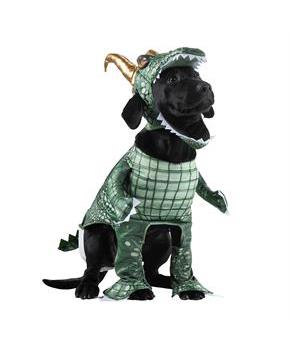 Loki Pet Classic Costume