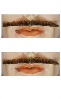 Errol Flynn Mustache - Blend