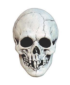 Adults White Night Owl Skull Plastic Overhead Mask