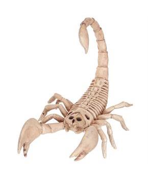 Skeleton Scorpion
