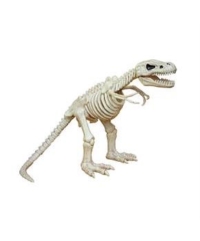 T-REX SKELETON