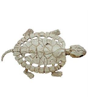 TURTLE SKELETON