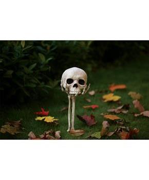 Skull in Hand Groundbreaker