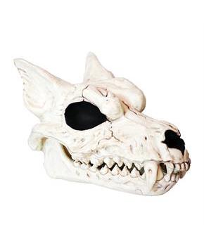Werewolf Skull