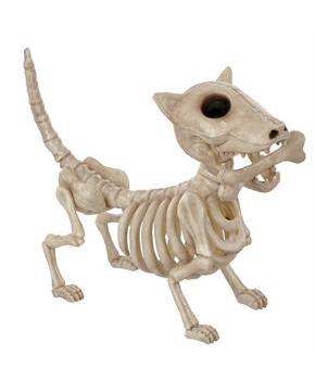 Digger the Skeleton Dog