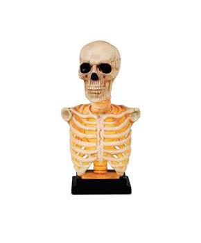 Skeleton Bust on Stand Halloween Tabletop Decoration, 16"
