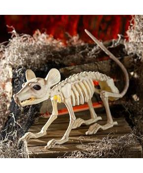 Plastic Rat Skeleton Halloween Tabletop Decoration 24" x 7"