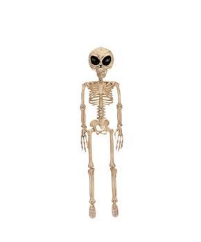 ALIEN SKELETON BONE COLOR 37IN