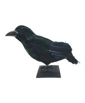 Raven Black
