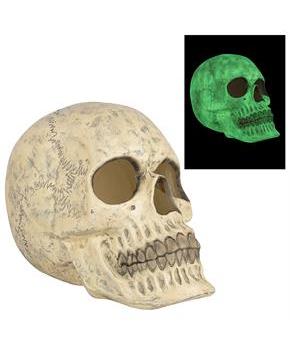 20"Glow-in-the-Dark Skull Halloween Decoration