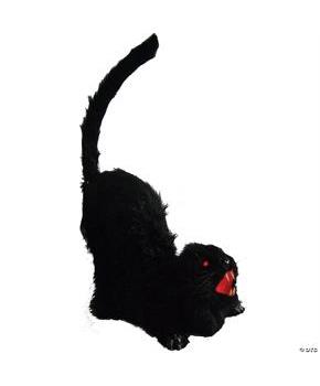 Animated Cat