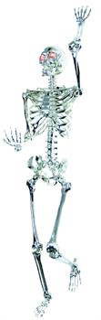 Light Up Chrome Skeleton