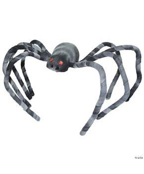Black And White Spider