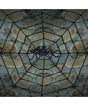 Giant Spider Web With Spider