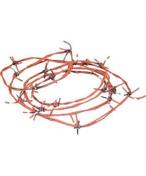 Rusty Barb Wire