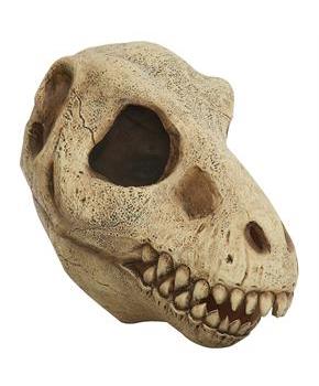 T-Rex Skull Mask