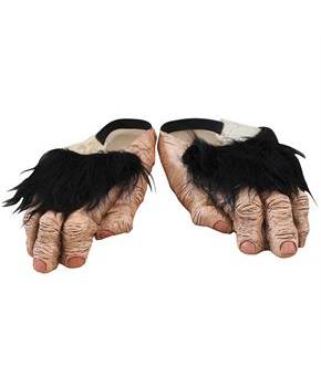 CHIMP ADULT FEET