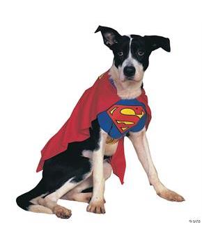 Superman Pet Costume