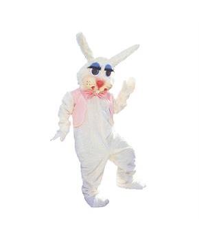 Peter Rabbit As Pictured Costume