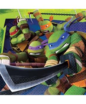 TMNT 1ST LUNCH NAPKINS