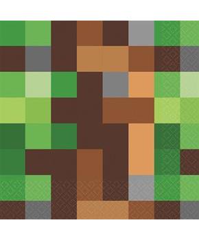 MINECRAFT 1ST LUNCH NAPKINS