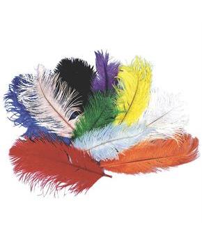Ostrich Plumes