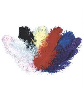 Ostrich Plumes Jumbo