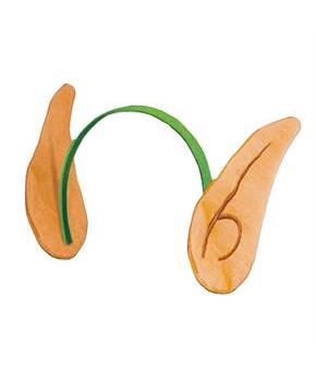 Elf Ears