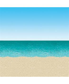 OCEAN AND BEACH BACKDRP 4x30ft