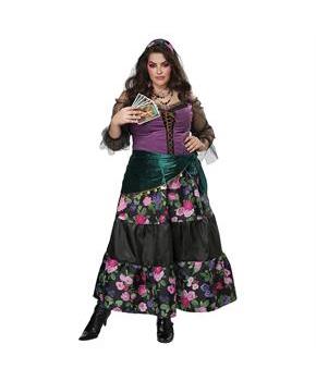 Mystical Charmer Adult Plus Costume