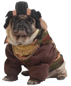Pity The Bull Dog Pet Costume