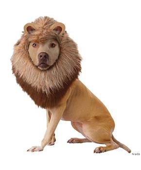 Animal Planet Pet Lion Costume